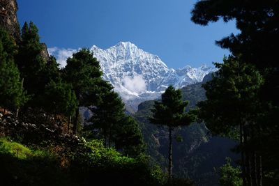 Scenic view of forest against sky