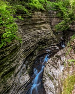 Stream flowing through rocks in forest