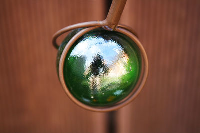 Reflection of trees in glass