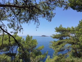 Scenic view of sea against clear blue sky