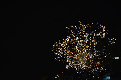 Low angle view of firework display against sky at night