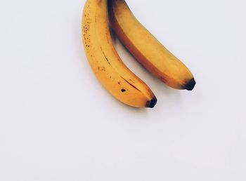 High angle view of orange against white background