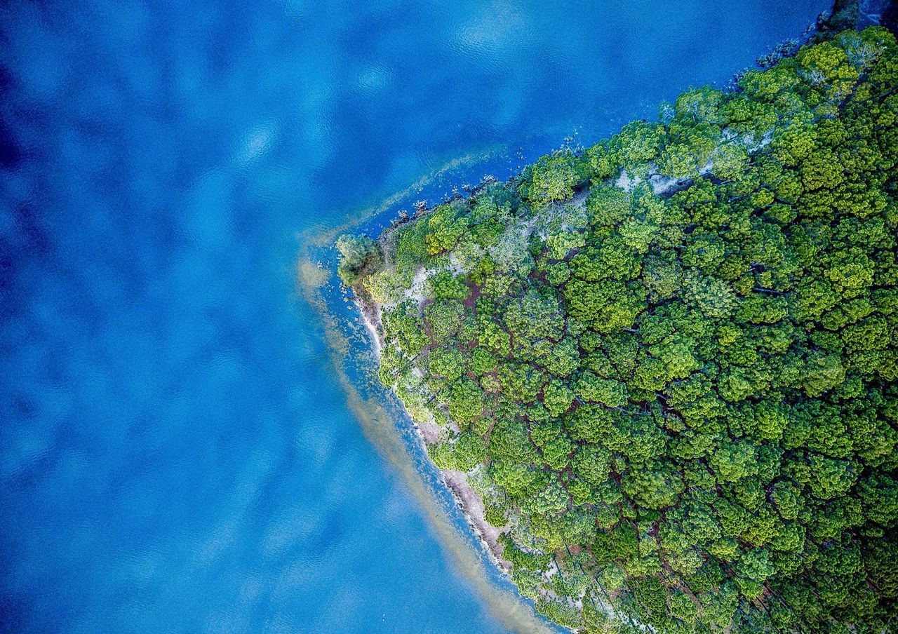 HIGH ANGLE VIEW OF SEA AGAINST TREES