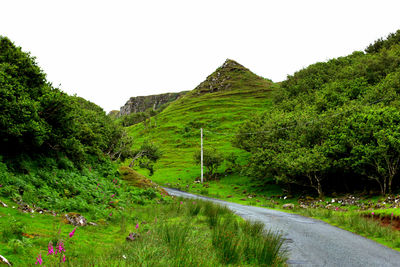 Scenic view of road amidst trees against sky