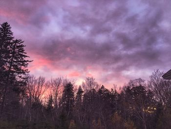 Low angle view of silhouette trees against dramatic sky
