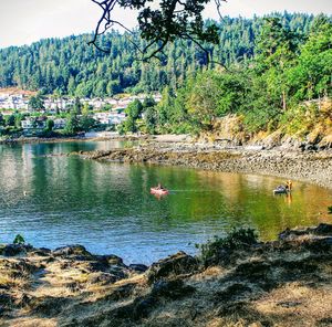 Scenic view of lake against trees