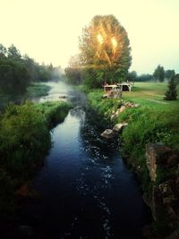 Sun shining over river