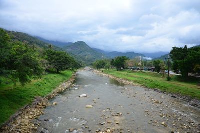 Scenic view of road by trees against sky