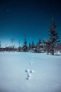 Snow covered land against sky at night