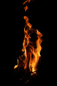 Close-up of fire in the dark