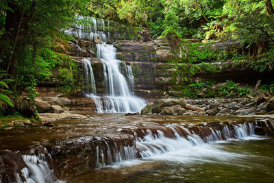 Scenic view of waterfall in forest