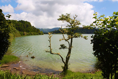 Scenic view of lake against sky