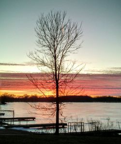 Bare trees on calm lake at sunset