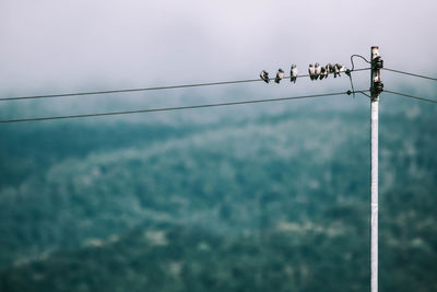 Low angle view of birds perching on cable against sky