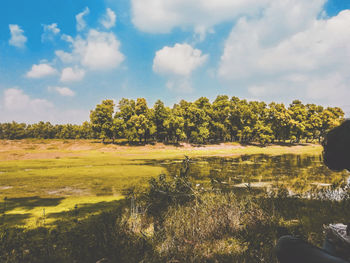 Scenic view of field against sky