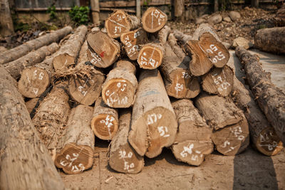 High angle view of wood logs on land