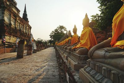 Side view of buddha statues in rows