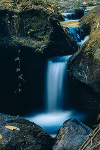 Scenic view of waterfall in forest