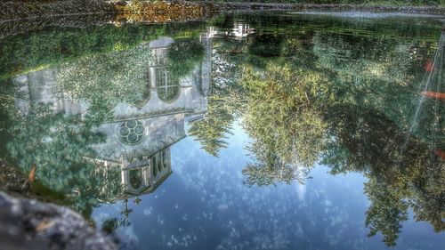 Reflection of trees in water