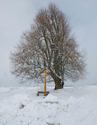 Bare tree on snow covered field against sky