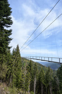 Low angle view of bridge in forest against sky