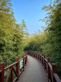 Footbridge amidst trees in forest against sky
