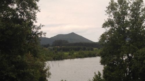 Scenic view of lake in forest against sky