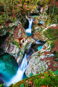 Waterfall in forest