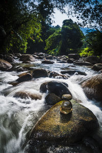 Stream flowing through rocks in forest