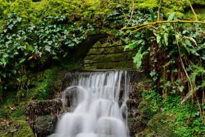 Scenic view of waterfall