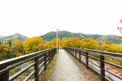 Bridge by trees against clear sky