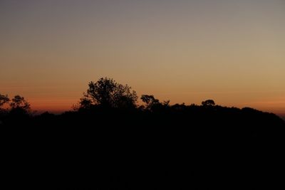 Silhouette of trees at sunset