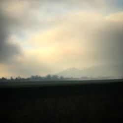 Scenic view of field against sky during sunset