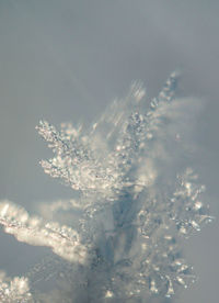 Full frame shot of snowflakes on water
