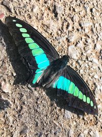 High angle view of shadow