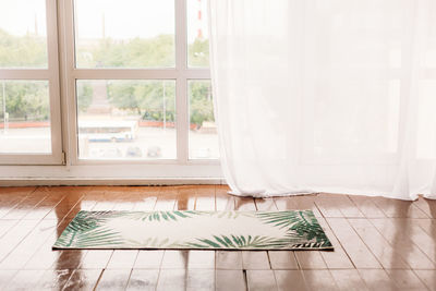 Potted plant on floor at home