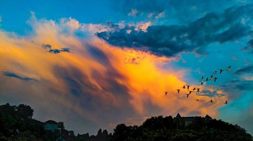 Low angle view of silhouette birds flying against sky