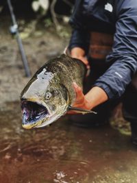 Midsection of man holding fish