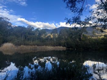 Scenic view of lake in forest against sky