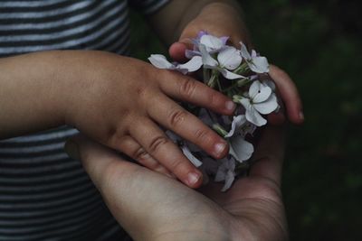 Close-up of boy keeping flowers on palm