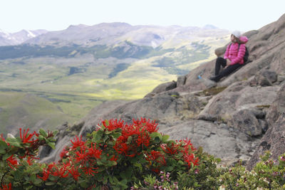 Rear view of man sitting on rock