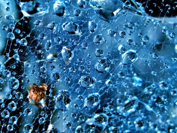 Close-up of water drops on glass