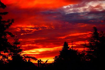 Low angle view of silhouette trees against dramatic sky