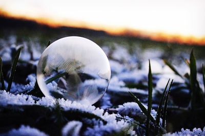 Close-up of snow on field