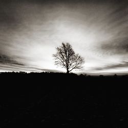 Silhouette bare tree on field against sky