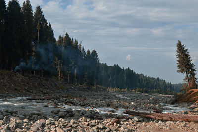 Panoramic view of trees and rocks against sky