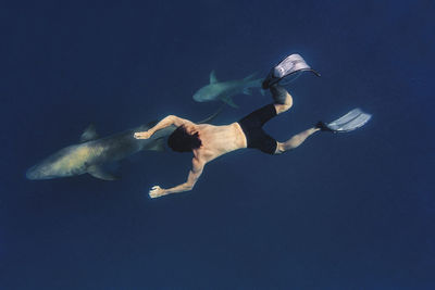 Man swimming with nurse sharks in sea