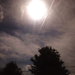 Low angle view of trees against cloudy sky