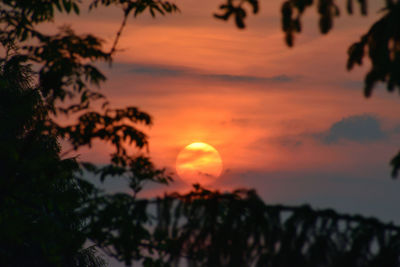 Silhouette trees against romantic sky at sunset