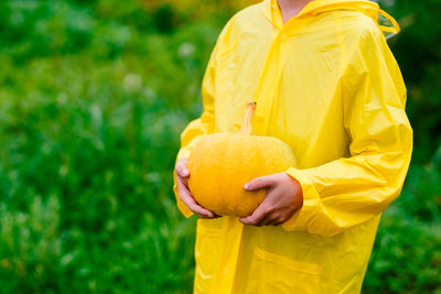 Boy in a yellow raincoat holds a yellow pumpkin. preparing for halloween. pumpkin harvest. 